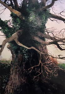 Tree study by Anne Whitelock (Dixon) – Oil on canvas